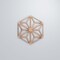 Ekena Millwork Small Hampton Decorative Fretwork Wood Wall Panels, Cherry, 11 3/8"W x 13 1/8"H x 3/8"T WALW12X12X0375HMPCH - alternate 3